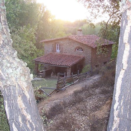 Casas El Alamillo- El Castanero Guest House Galaroza Eksteriør bilde