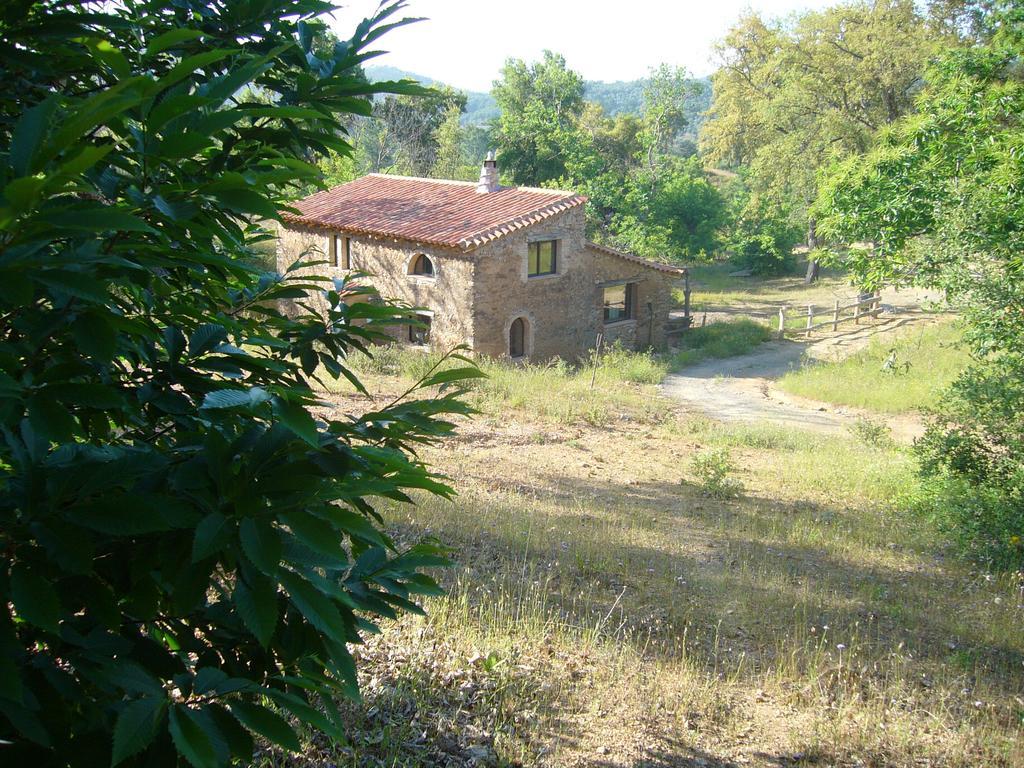 Casas El Alamillo- El Castanero Guest House Galaroza Eksteriør bilde
